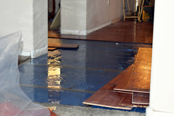 Professional Burst Pipe Cleanup technician working in Mont Belvieu, TX